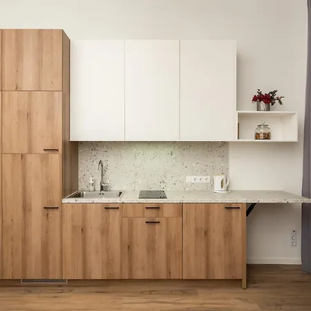 Air 116 Apartament