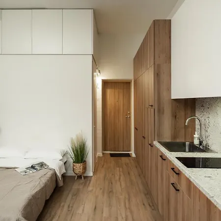 Air 116 * 维尔纽斯